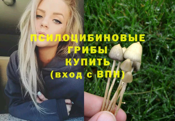 дурь Алзамай
