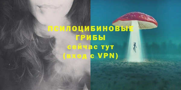PSILOCYBIN Алексеевка