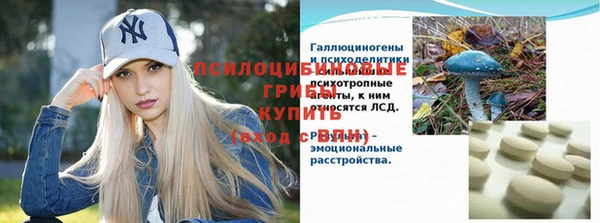 мяу мяу мука Алексин